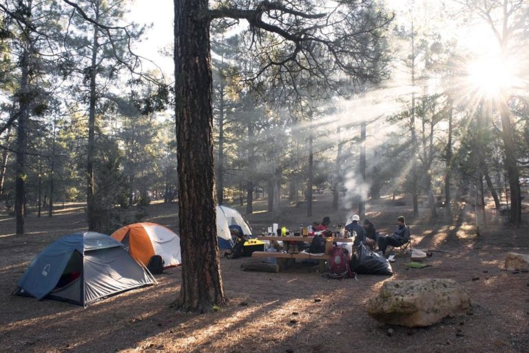 Camping 101: co musisz wiedzieć